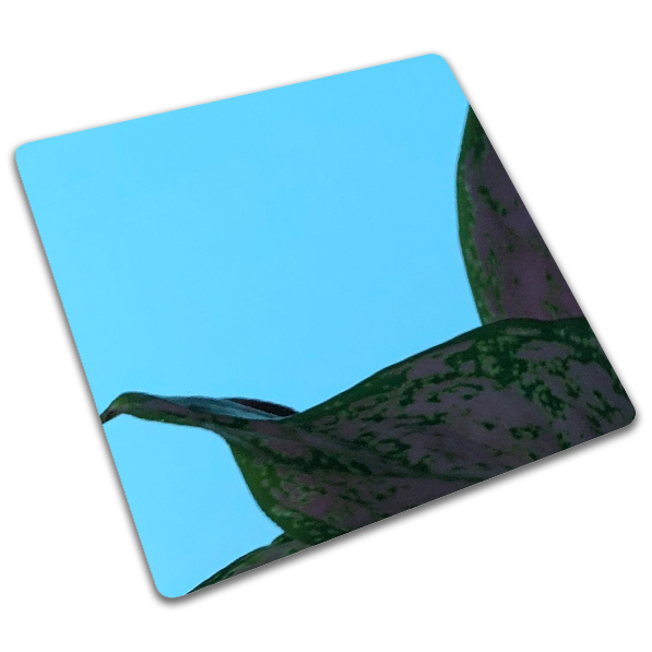 Mirror-polished stainless steel sheets in a brilliant blue PVD coating with a distortion-free reflective surface.